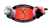 São Leandro